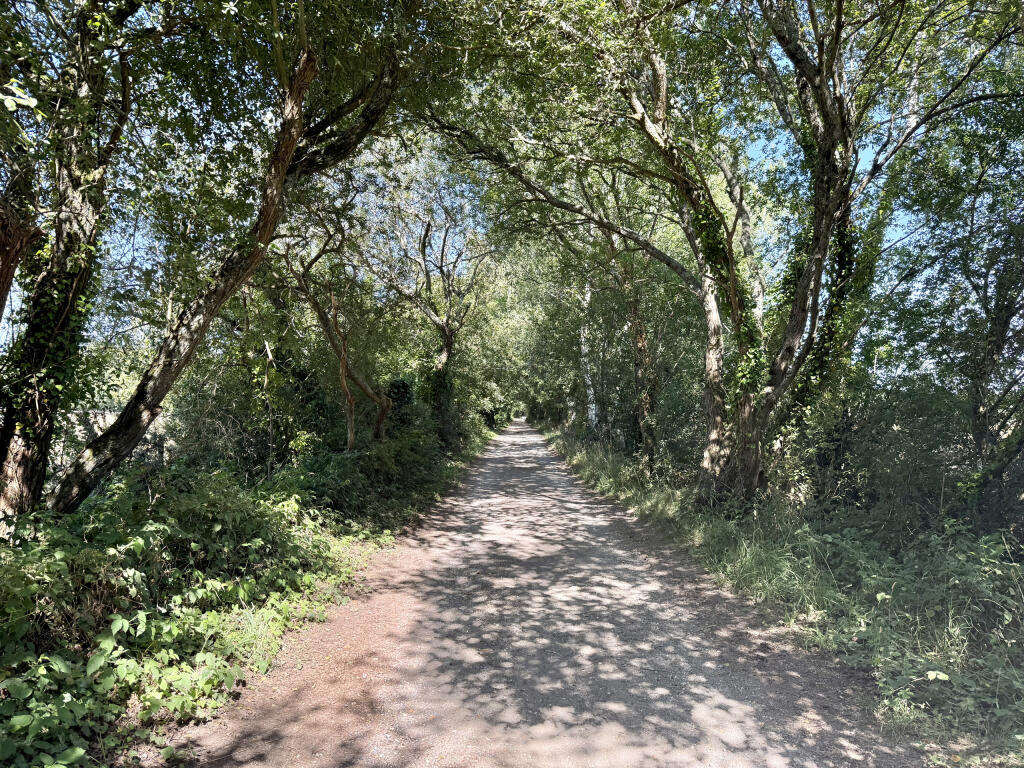Additional image 34 of Rose Cottage, Sandy Lane, Three Legged Cross, Wimborne, Dorset