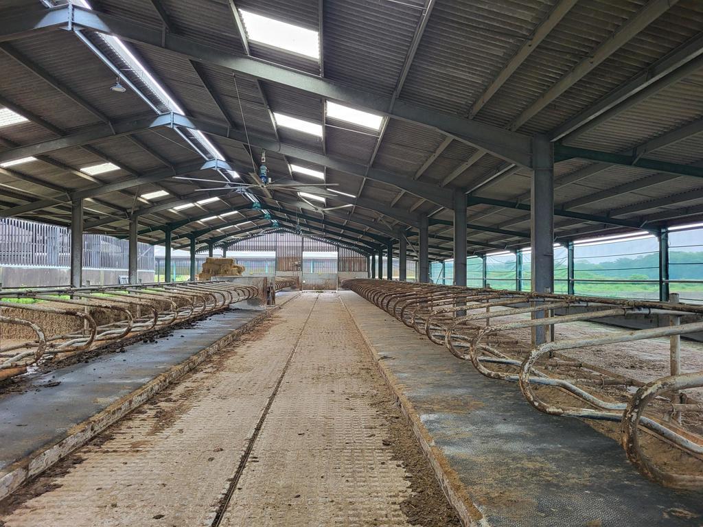 Additional image 4 of Waterditch Road, Christchurch, Christchurch, Dorset