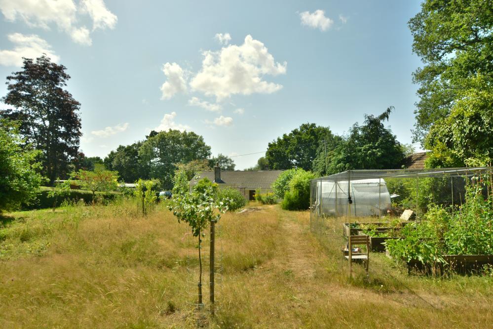 Additional image 27 of Woodhuish Coniferales, Holt, Wimborne, BH21 7EA