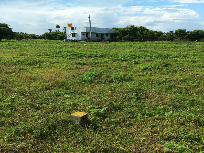 Additional image 2 of Veppampattu, Chennai