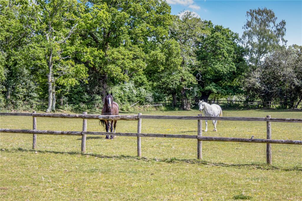 Additional image 22 of Highwood, Ringwood, Hampshire, BH24