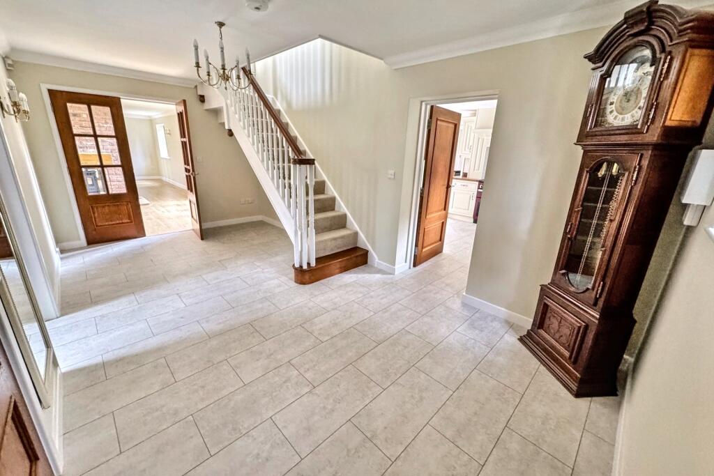 Additional image 5 of Horton