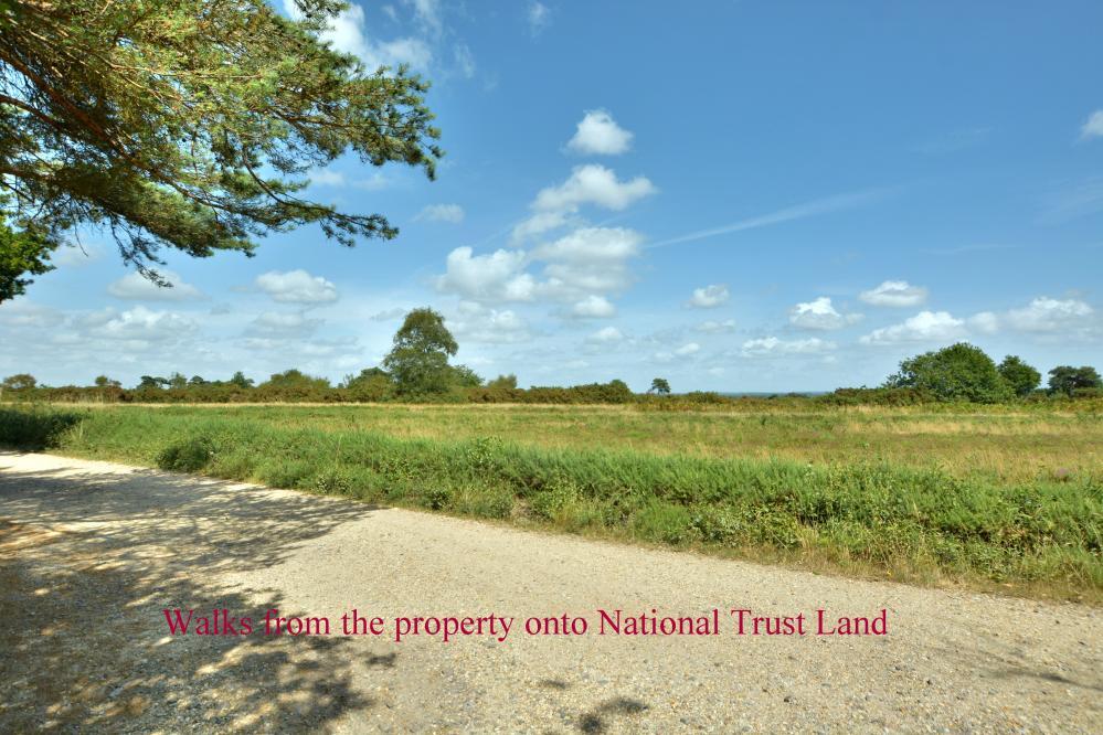 Additional image 33 of Woodhuish Coniferales, Holt, Wimborne, BH21 7EA