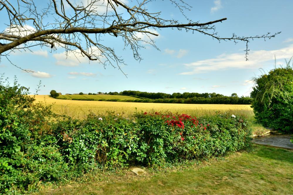 Additional image 37 of Matterley Cottages, Wimborne, BH21 7HN