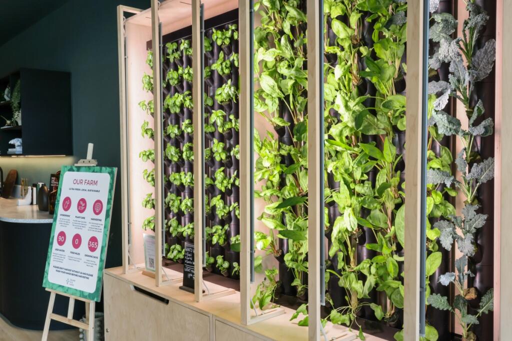 Additional image 8 of Preston Road Preston Park BN1