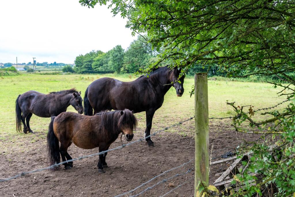 Additional image 56 of Tempest Road, Lostock, Bolton, BL6 4