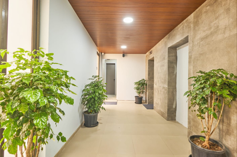 Additional image 3 of Pachpedi Naka, Raipur