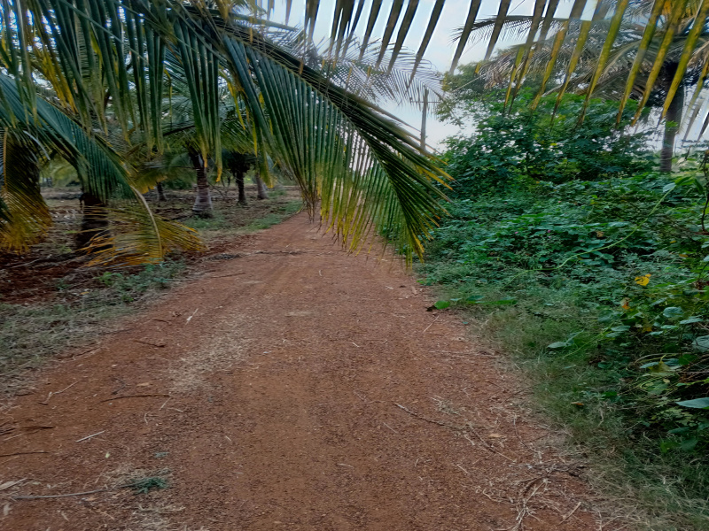 Property image for Hunsur Road, Mysore