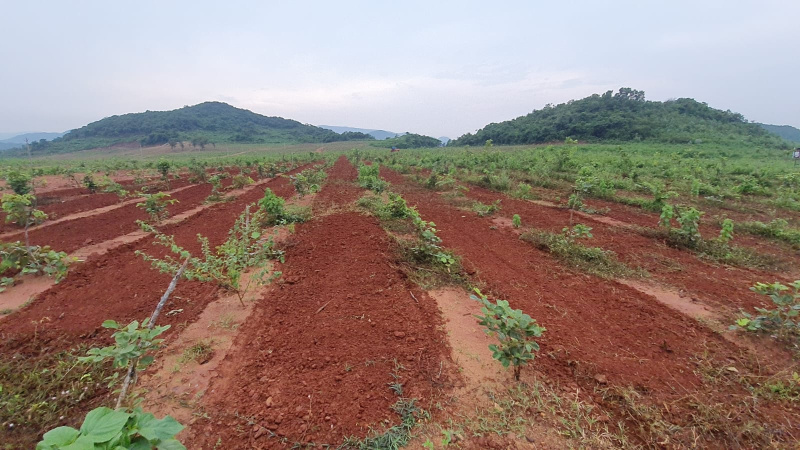 Additional image 3 of Bhogapuram, Visakhapatnam