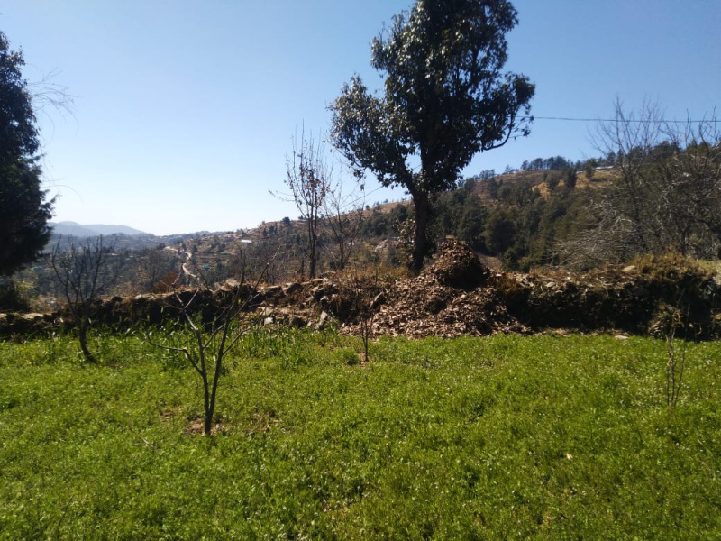 Additional image 2 of Mukteshwar, Nainital