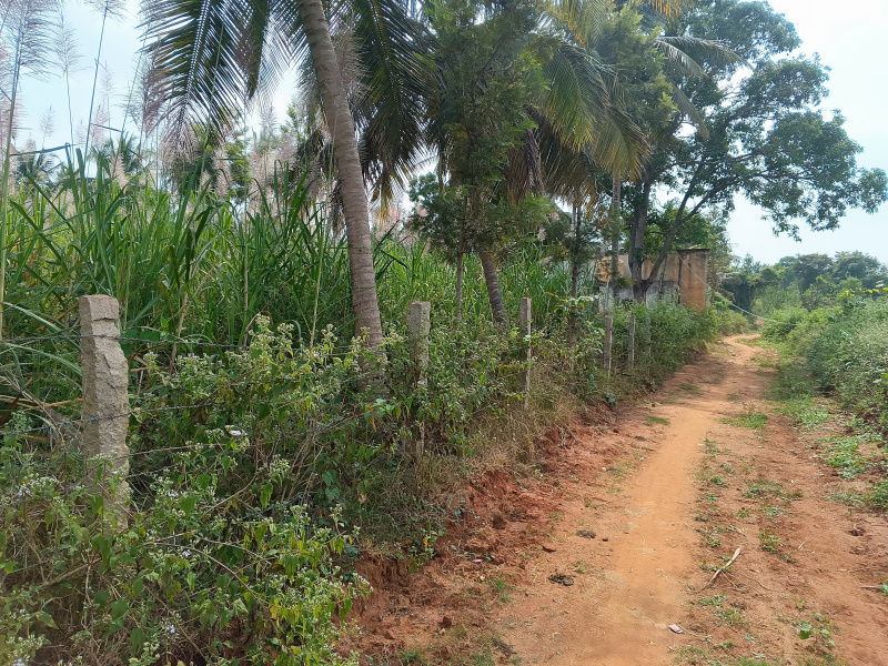Additional image 3 of Hunsur Road, Mysore