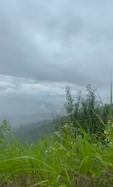 Additional image 3 of Hartola, Nainital, Nainital