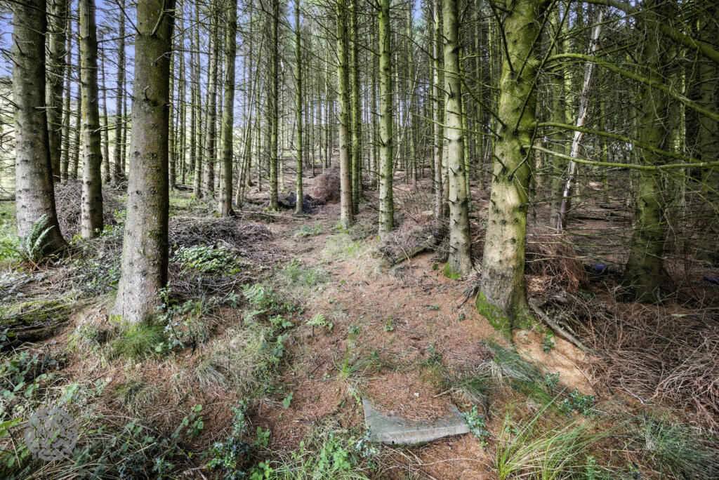 Additional image 47 of Ramsbottom Road, Hawkshaw, Bury, Greater Manchester, BL8 4JS