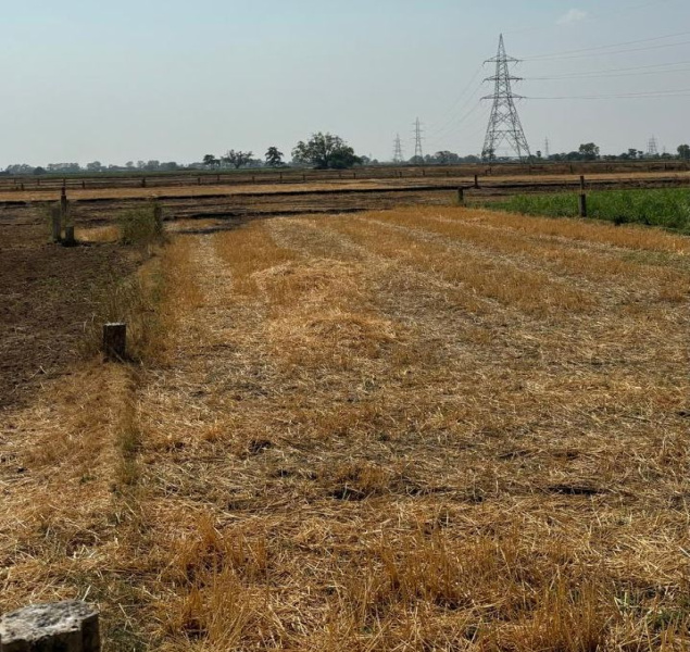 Additional image 3 of Bikram, Patna