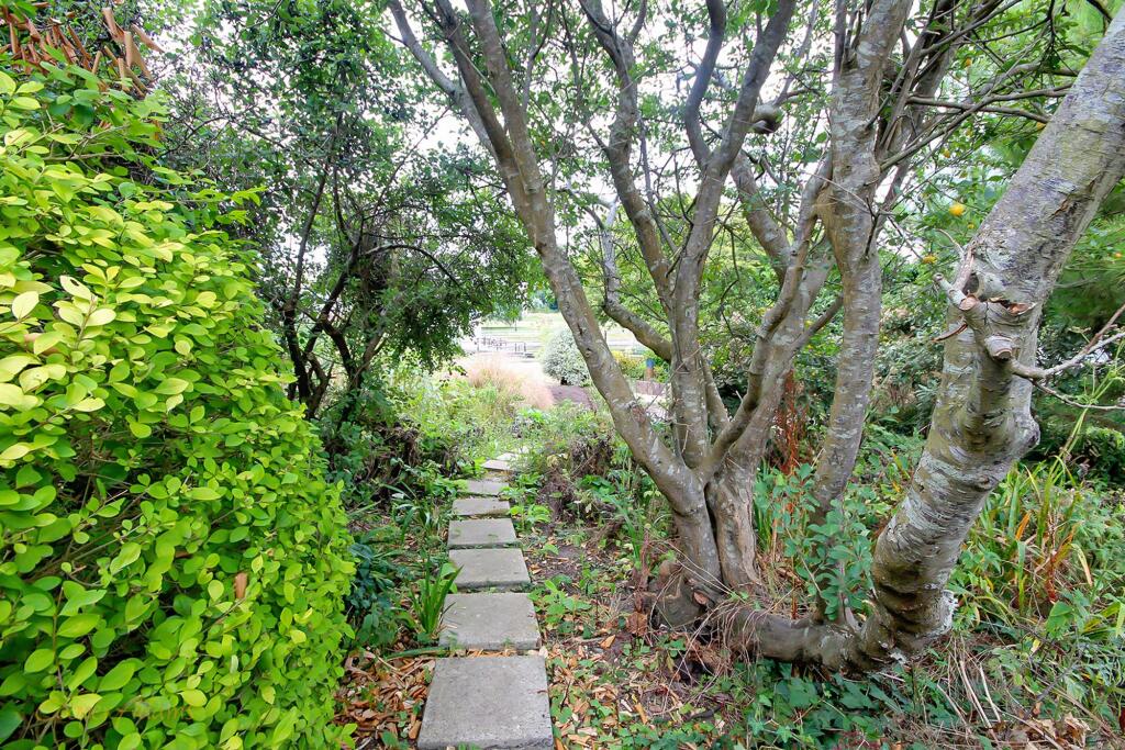 Additional image 14 of Hendon Avenue, Rustington, BN16