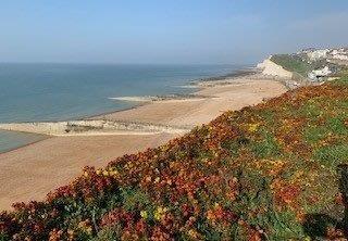 Additional image 21 of Marine Drive, Brighton, BN2