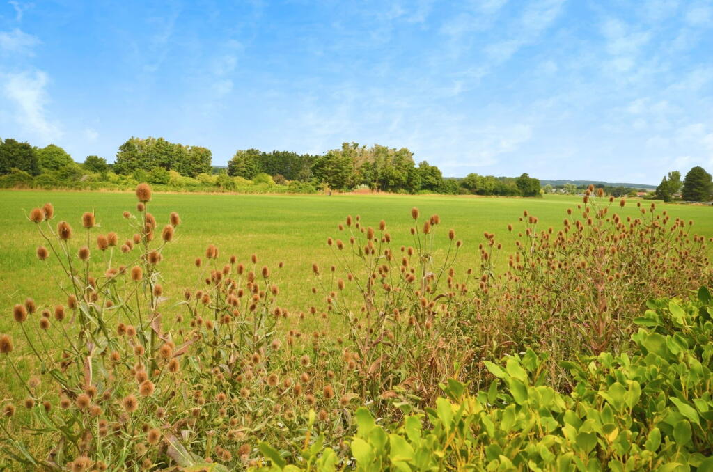 Additional image 6 of Robinson Close, Yapton, Arundel, BN18 0ZN