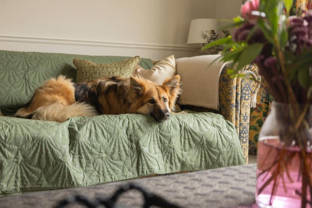 Additional image 10 of Station Road, Berwick