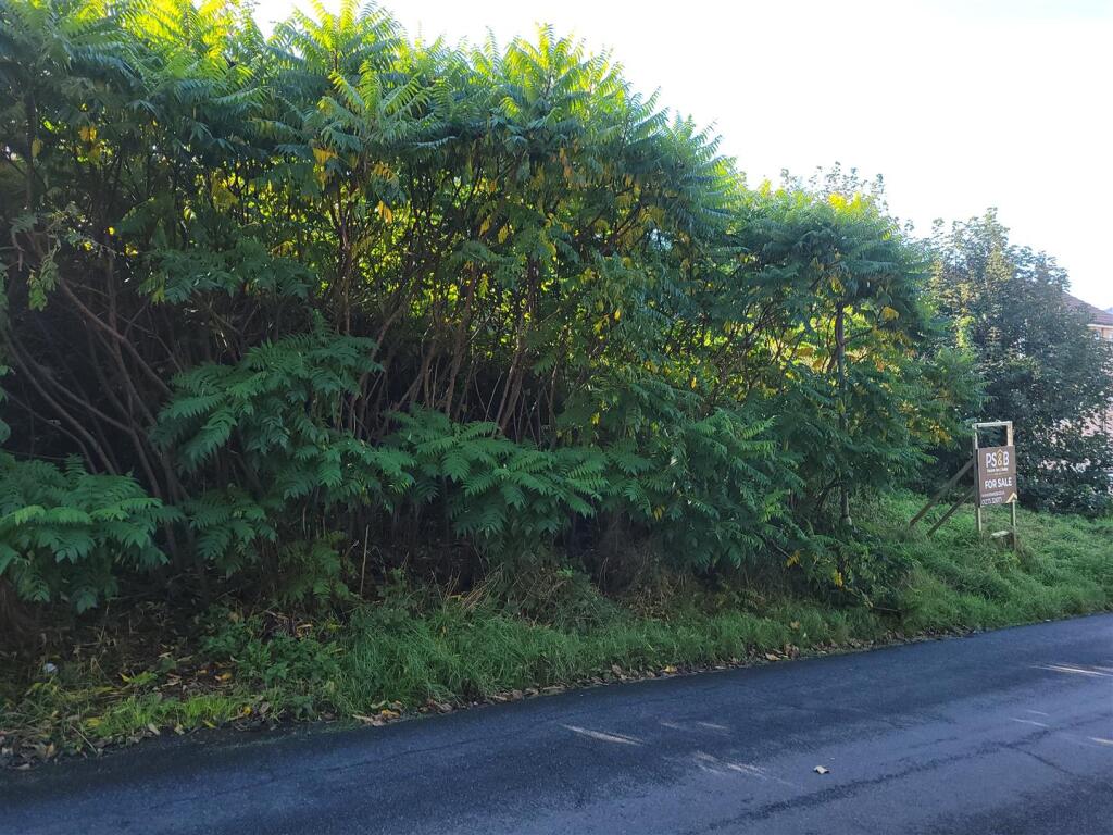 Additional image 6 of Sutton Drove, Seaford