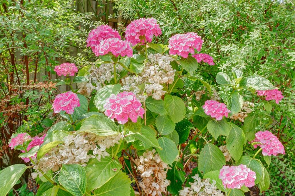 Additional image 31 of Bowline Drive, Hailsham, BN27