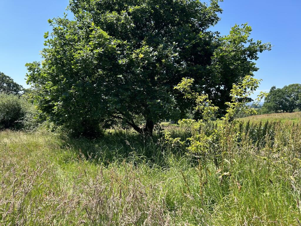 Additional image 7 of Windmill Hill, Hailsham, East Sussex