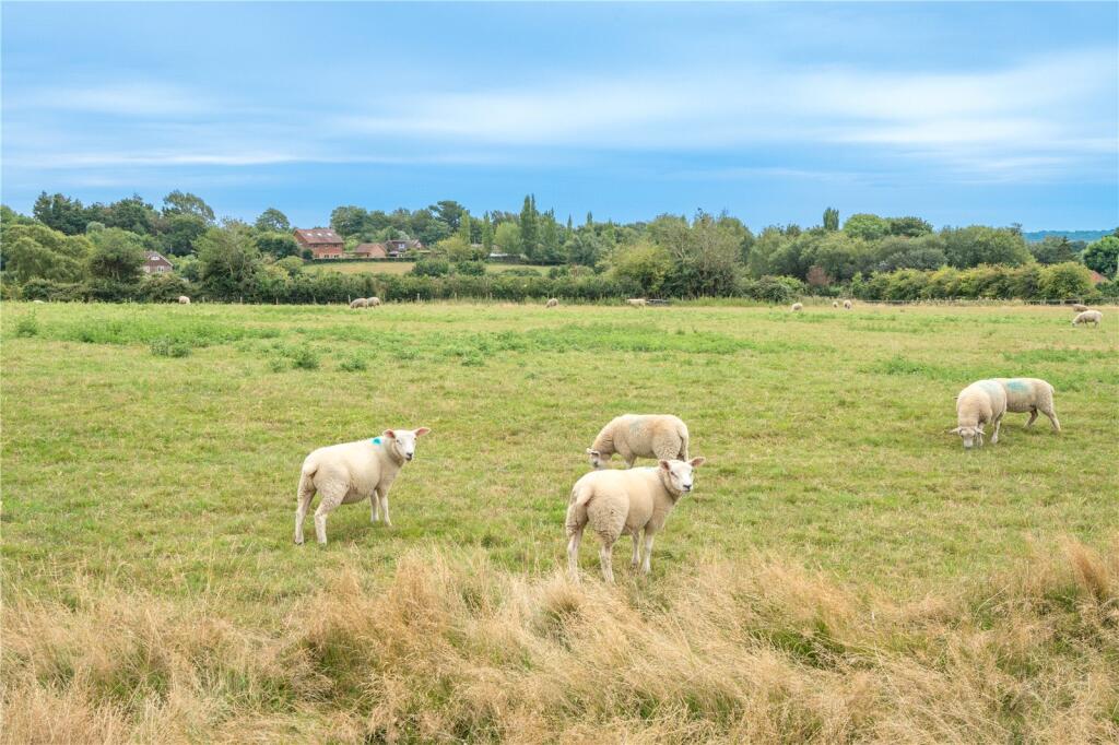 Additional image 24 of Featherbed Lane, Carters Corner, Hailsham, East Sussex, BN27