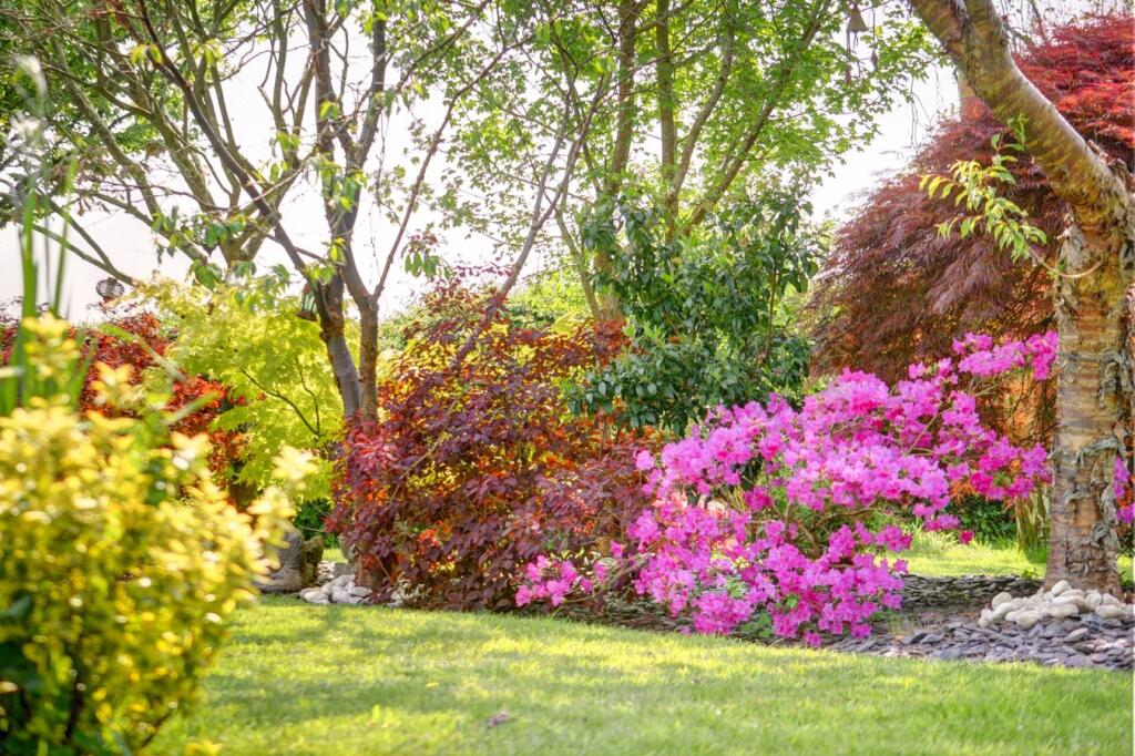 Additional image 67 of Deanland Road, Golden Cross, BN27