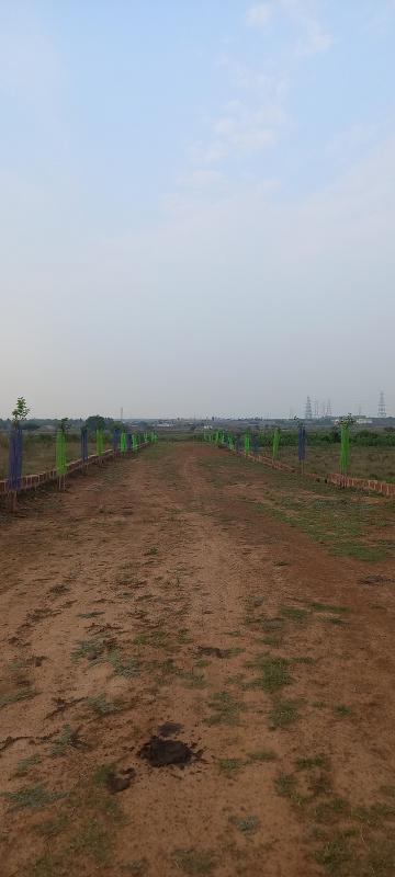 Additional image 3 of Pitapalli, Bhubaneswar