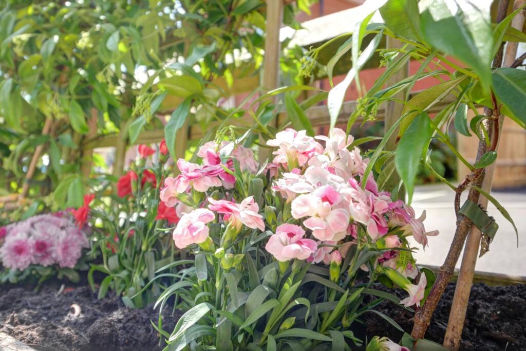 Additional image 15 of Sail Street, Hailsham, BN27