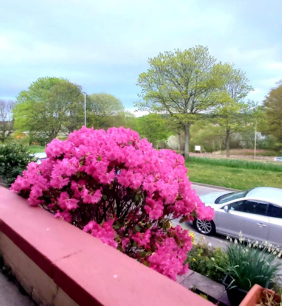 Additional image 25 of Montrose Drive, Aberdeen, AB10