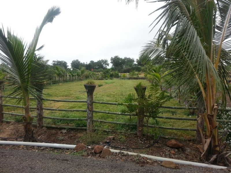 Additional image 3 of Uruli Kanchan, Pune