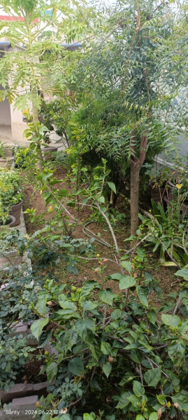 Additional image 3 of Ormanjhi, Ranchi