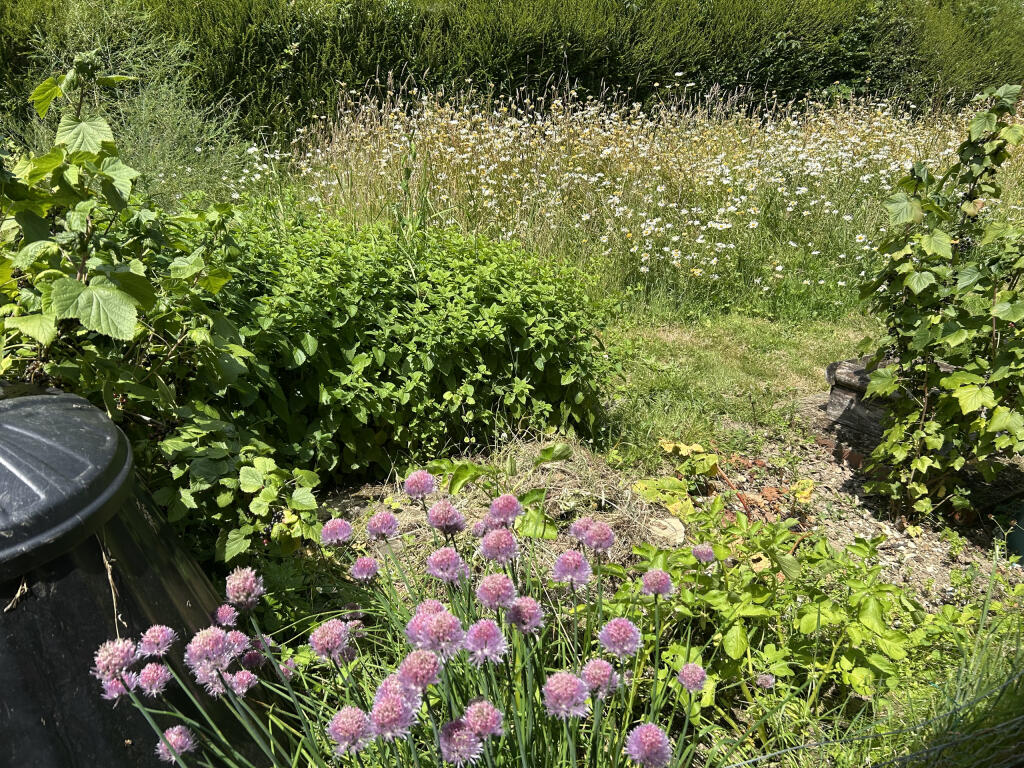 Additional image 24 of Under Road, Magham Down, Hailsham, East Sussex