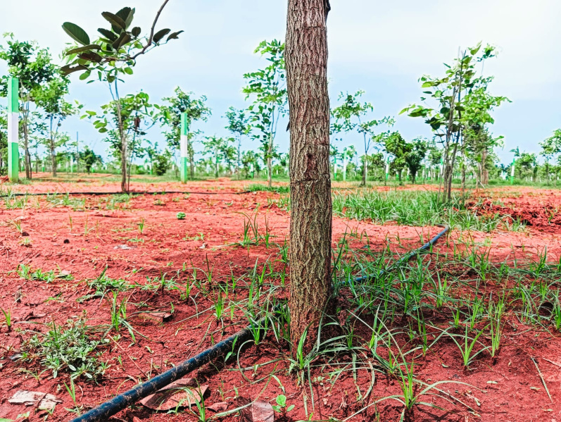Additional image 2 of Omr, Chennai