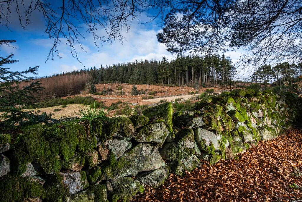 Additional image 16 of Cuthbertson Walk
Bucksburn
Aberdeen
AB21 9HG