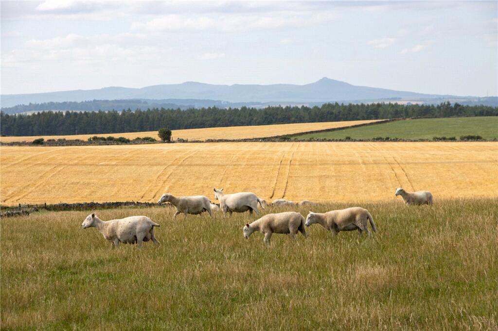 Additional image 9 of Land At Upper Anguston & The Baads, Peterculter, Aberdeen, AB14