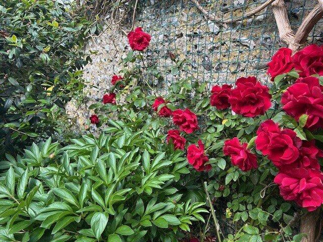 Additional image 19 of West Street, Alfriston, East Sussex, BN26