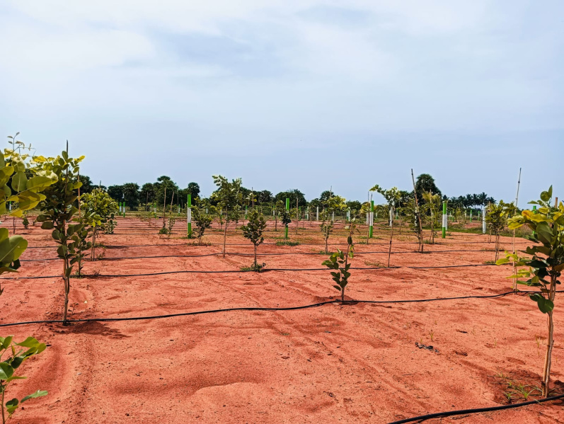 Additional image 3 of Omr, Chennai