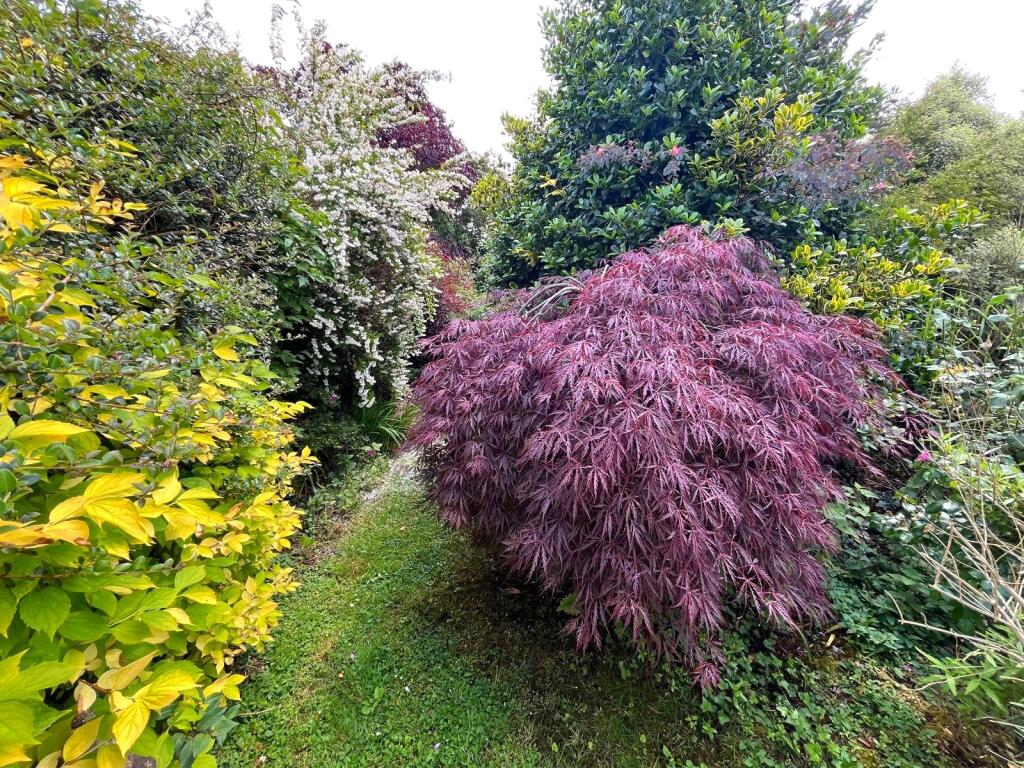 Additional image 16 of Cowbeech, Hailsham, BN27