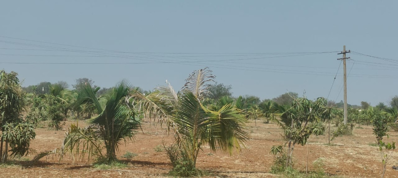Additional image 2 of Amangal, Hyderabad