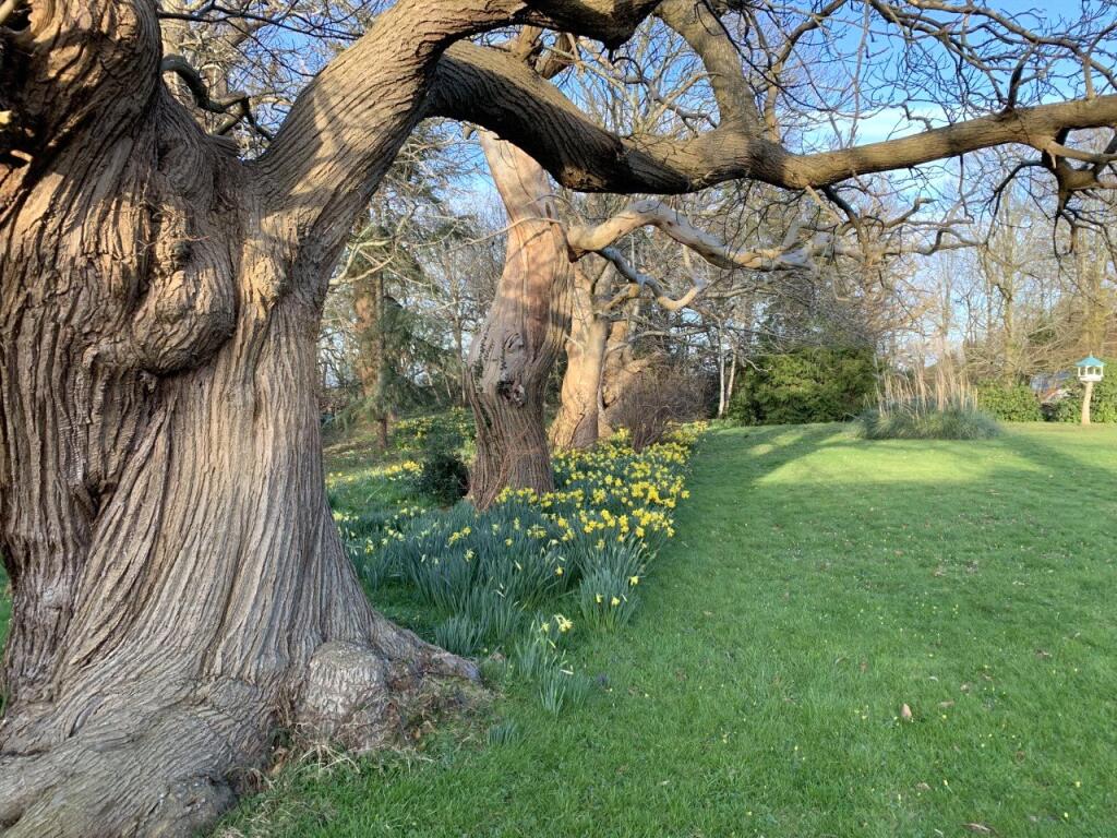 Additional image 4 of North Street, Hellingly, Hailsham, East Sussex, BN27