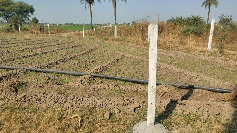 Additional image 2 of Super Corridor, Indore