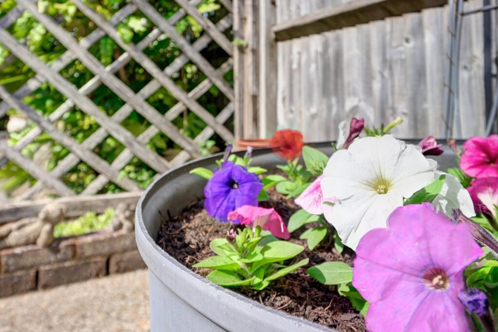 Additional image 16 of Anglesey Avenue, Hailsham, BN27