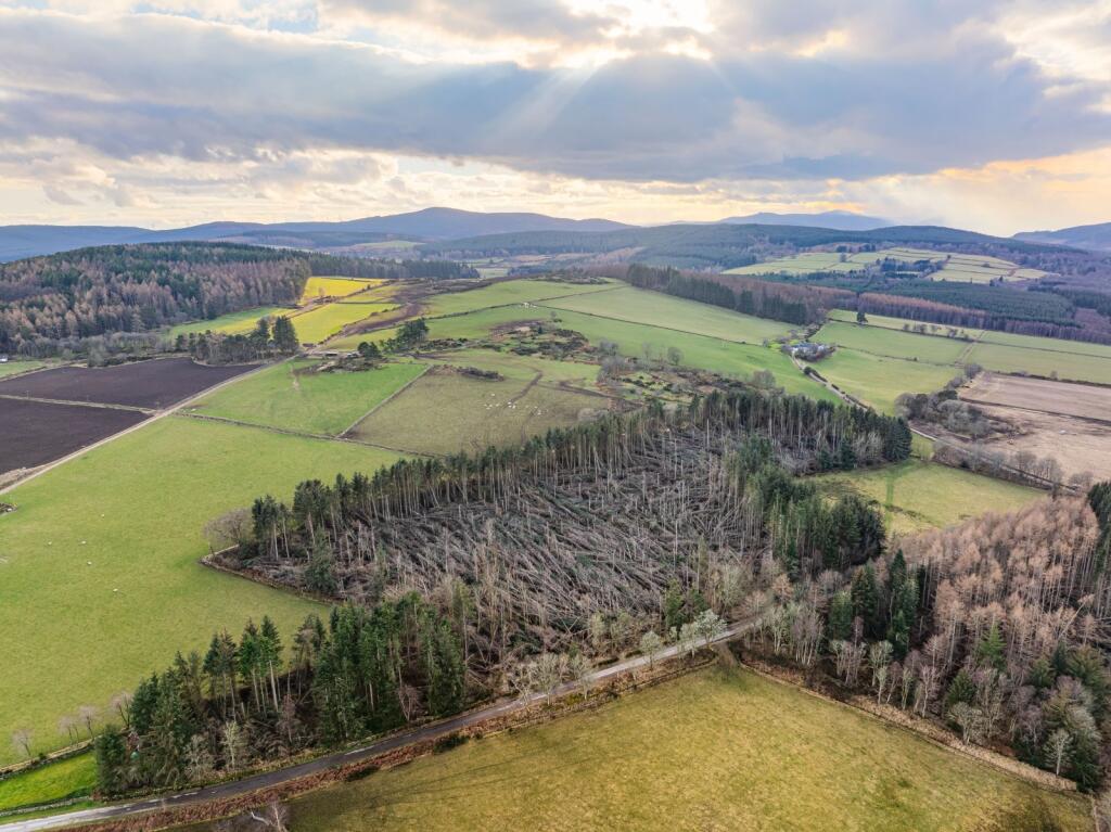 Additional image 11 of The Aberdeenshire Portfolio, Aberdeenshire