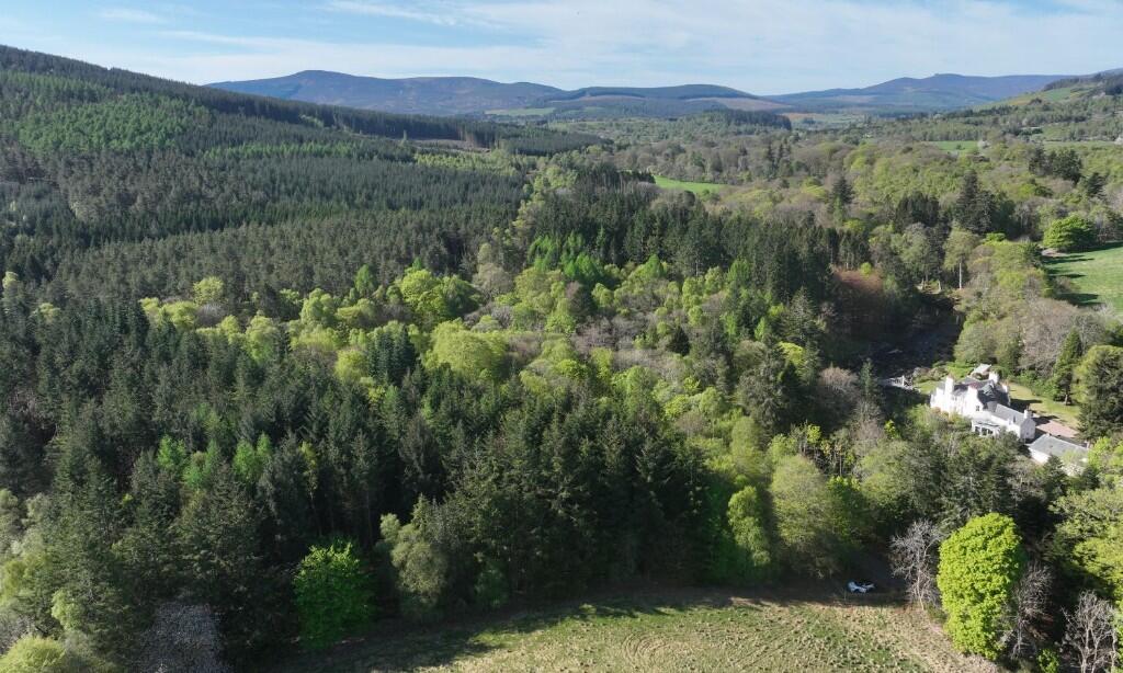 Additional image 6 of Minnonie Woodland, Banchory, AB31