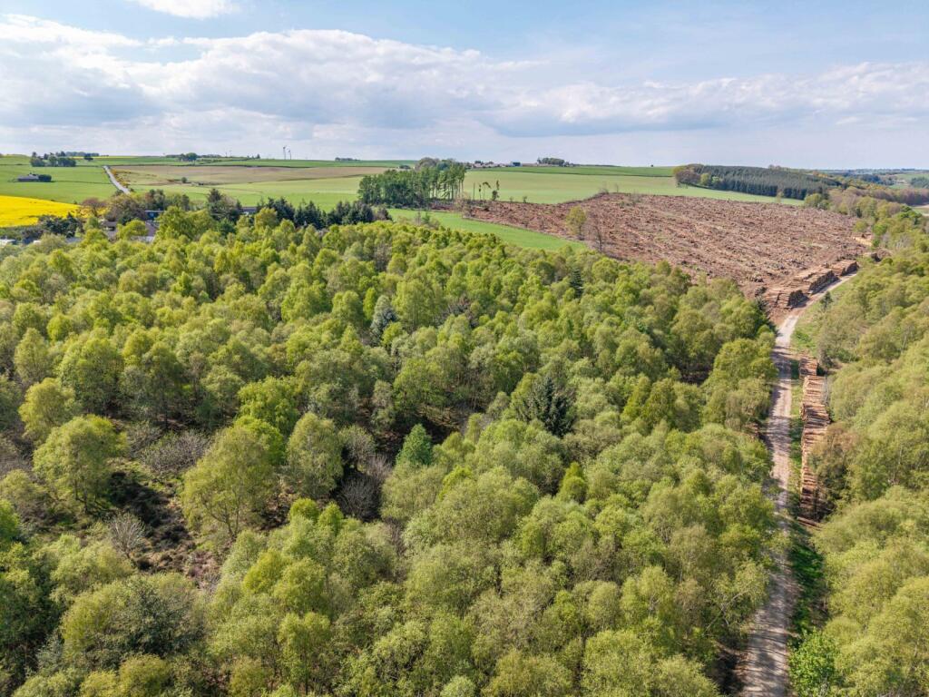 Additional image 2 of Braes Of Gight, Methlick, Ellon, Aberdeenshire