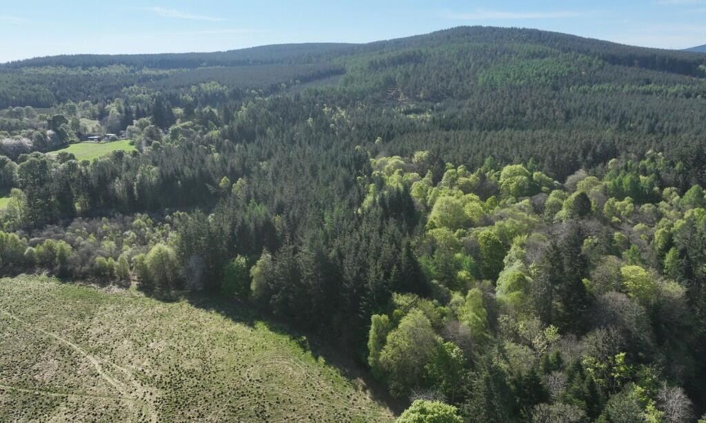 Additional image 5 of Minnonie Woodland, Banchory, AB31