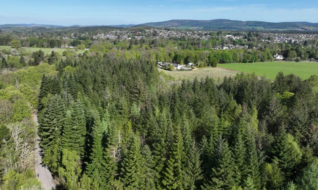 Property image for Minnonie Woodland, Banchory, AB31