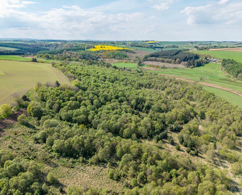 Property image for Braes Of Gight, Methlick, Ellon, Aberdeenshire
