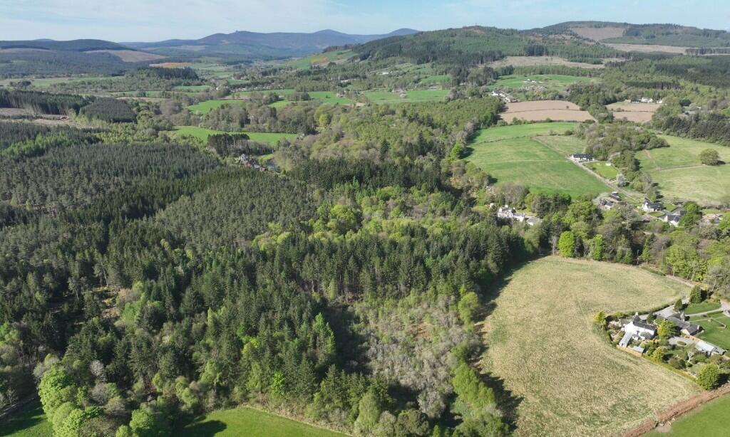 Additional image 12 of Minnonie Woodland, Banchory, AB31